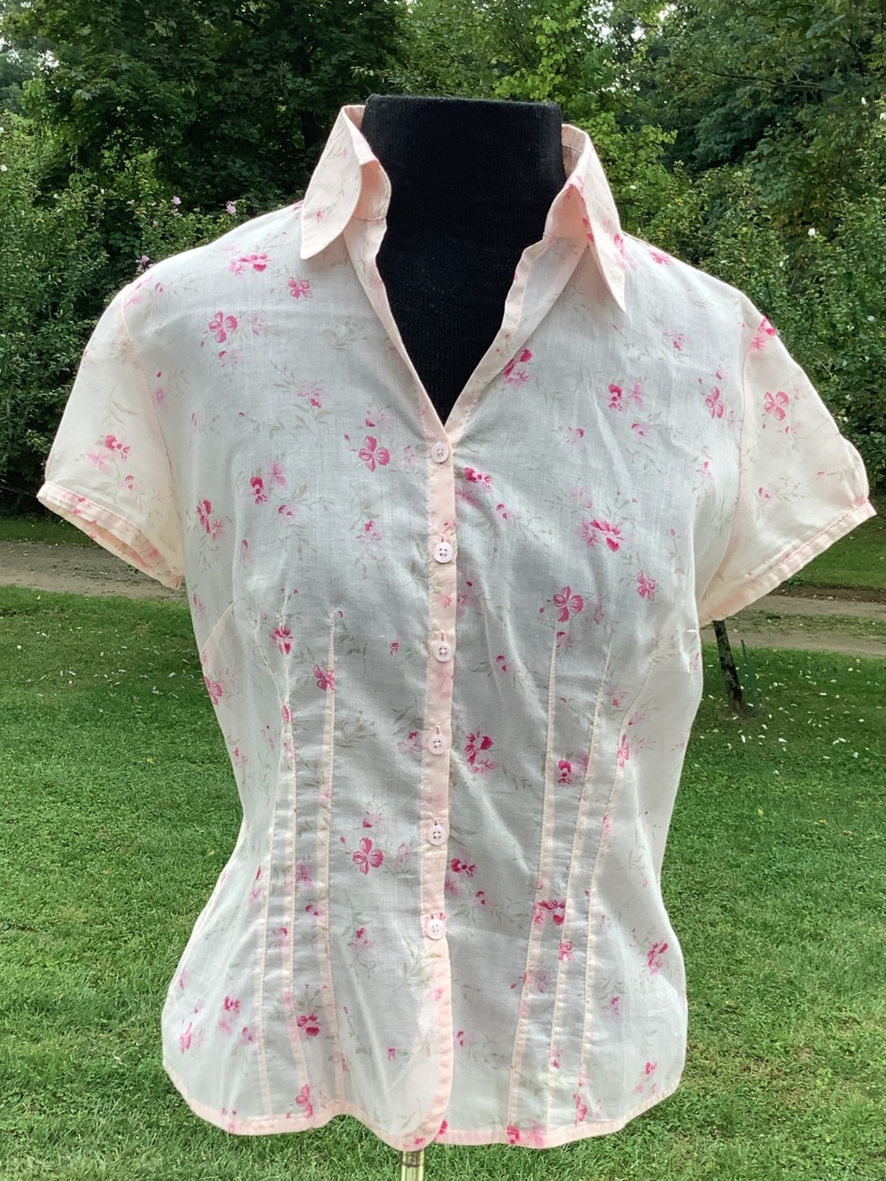 Sheer Feminine Blouse